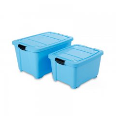 plastic collect container box mould manufacturer