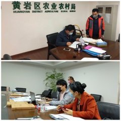 does taizhou mould factory come back to work during coronavirus